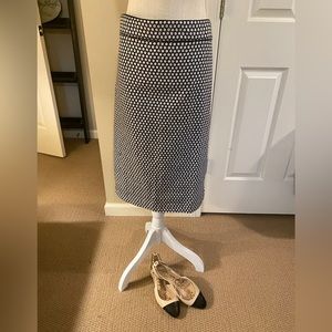 Ann Taylor Pencil Skirt